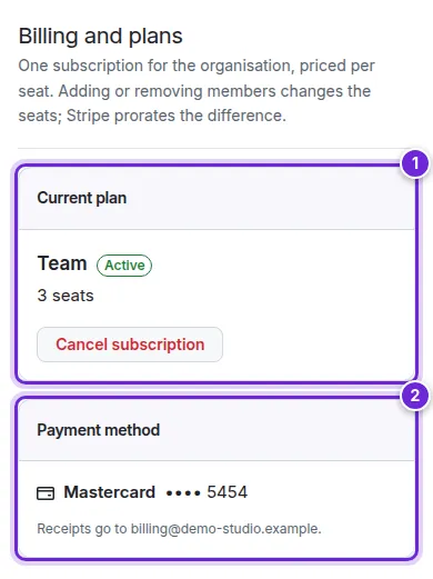 The organisation's Billing and plans page: the current plan with its seats and the payment method.